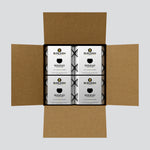 Shop Bighead No Carb Lager